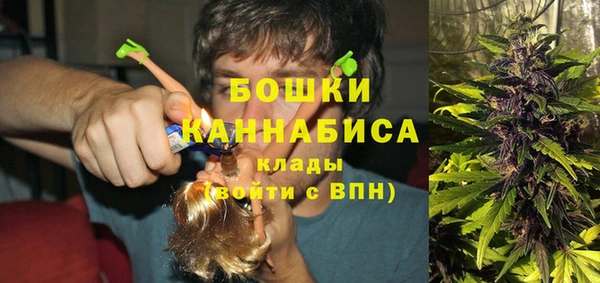 экстази Арсеньев