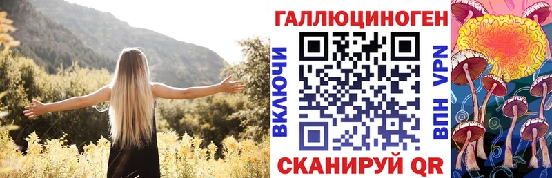 Галлюциногенные грибы Psilocybine cubensis  Ликино-Дулёво 